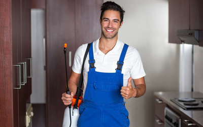 5 Reasons To Hire A Professional Pest Control Company