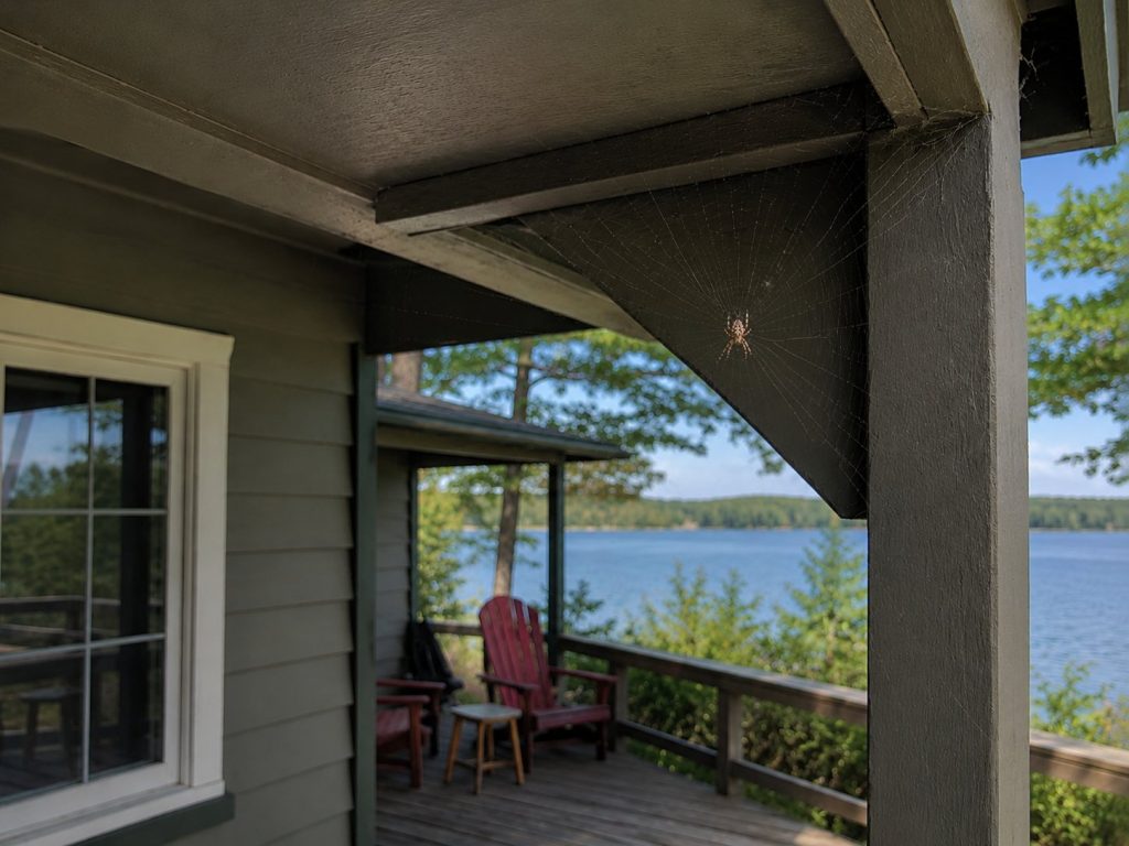 An orb spider on a web in the corner of a cottage porch.
