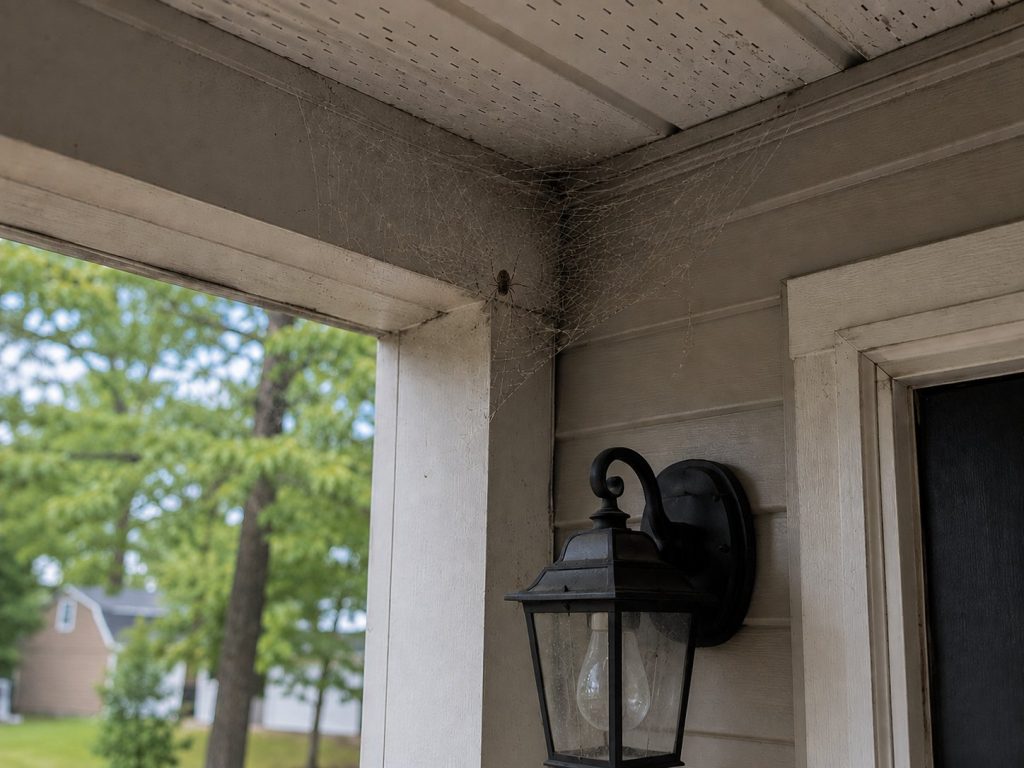 A spider in a web in the corner of a porch.